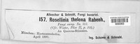 Rosellinia thelena image